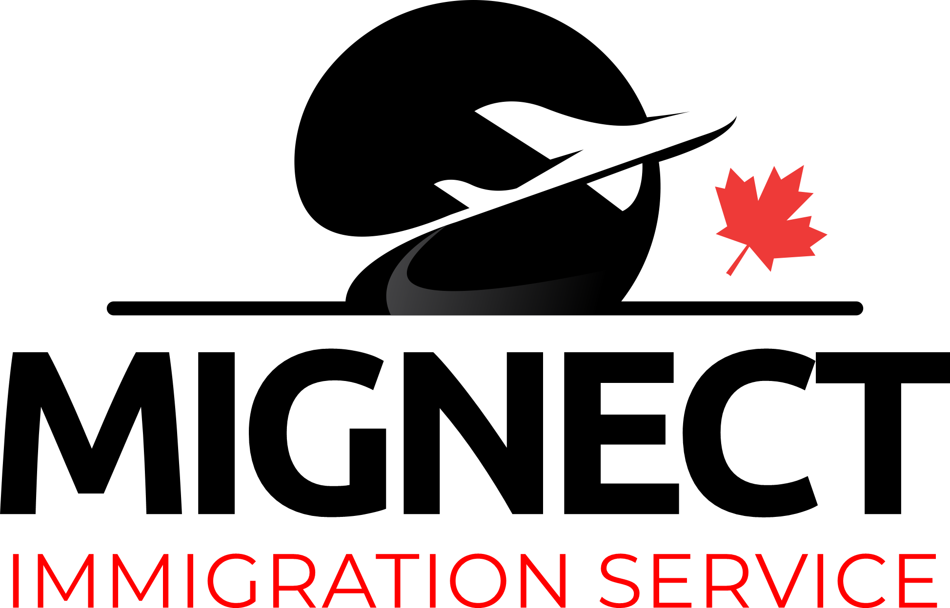 Mignect Immigration Service